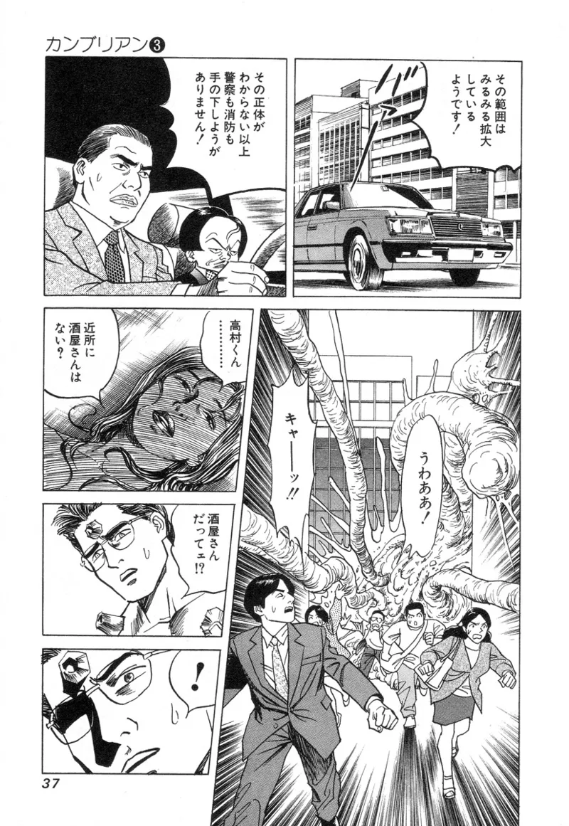 [Noboru Miyama]Kanburian Kanzenban Cambrian 03 Page 39