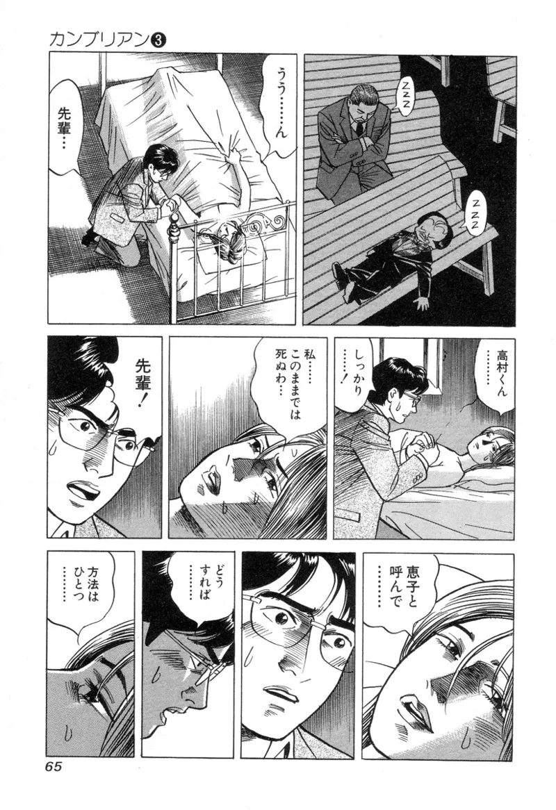[Noboru Miyama]Kanburian Kanzenban Cambrian 03 Page 66