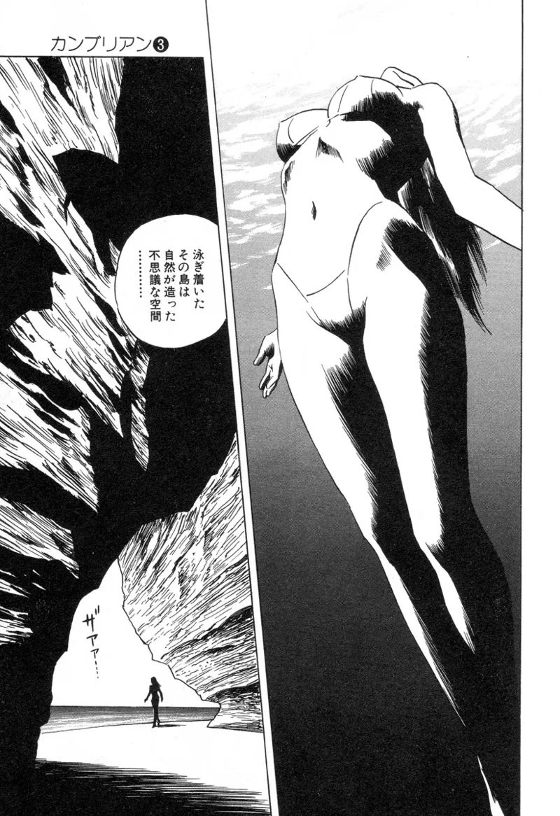 [Noboru Miyama]Kanburian Kanzenban Cambrian 03 Page 78