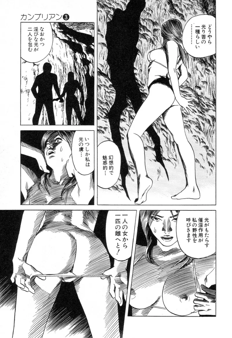 [Noboru Miyama]Kanburian Kanzenban Cambrian 03 Page 80