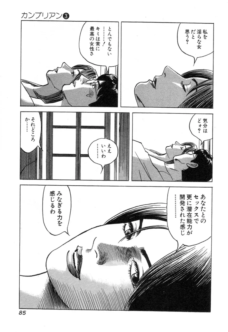 [Noboru Miyama]Kanburian Kanzenban Cambrian 03 Page 85