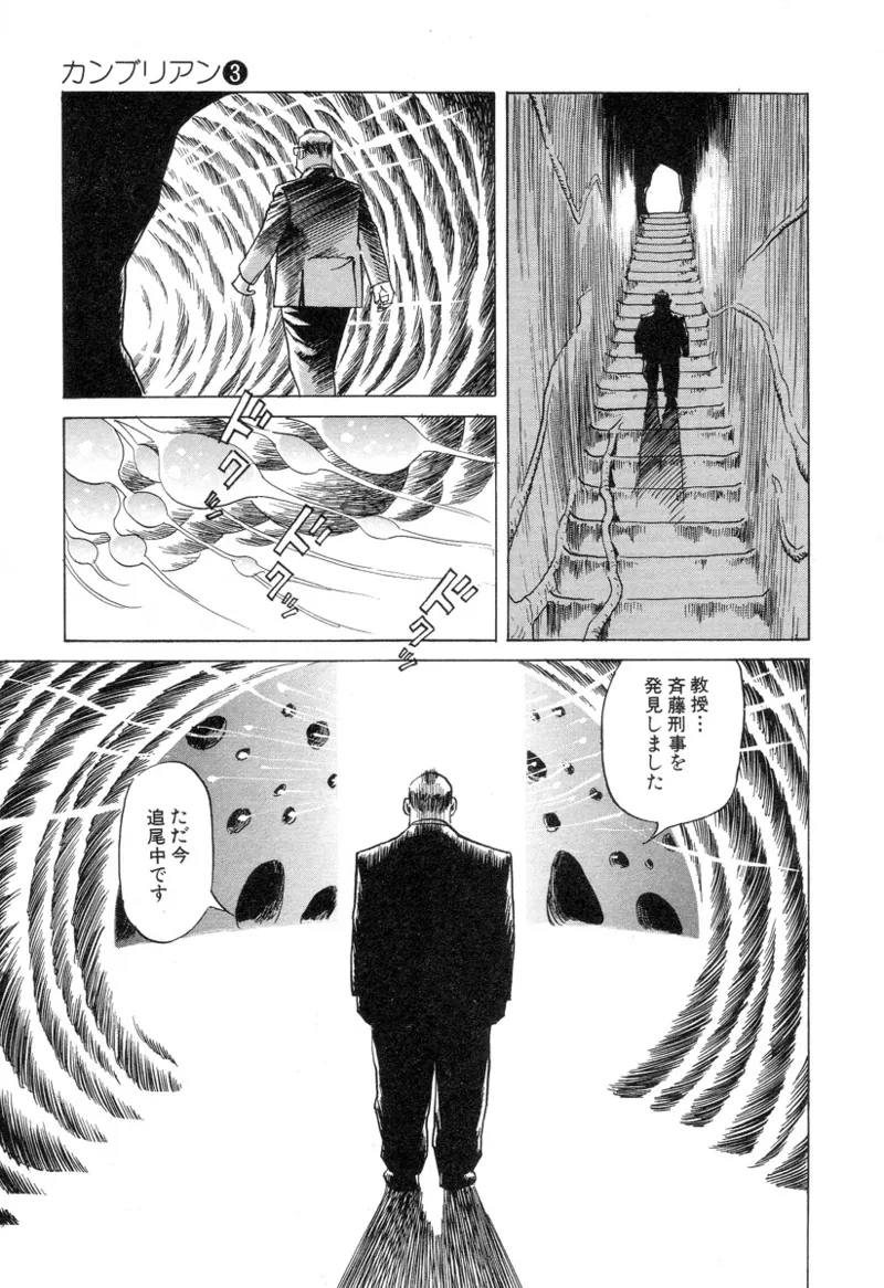 [Noboru Miyama]Kanburian Kanzenban Cambrian 03 Page 91