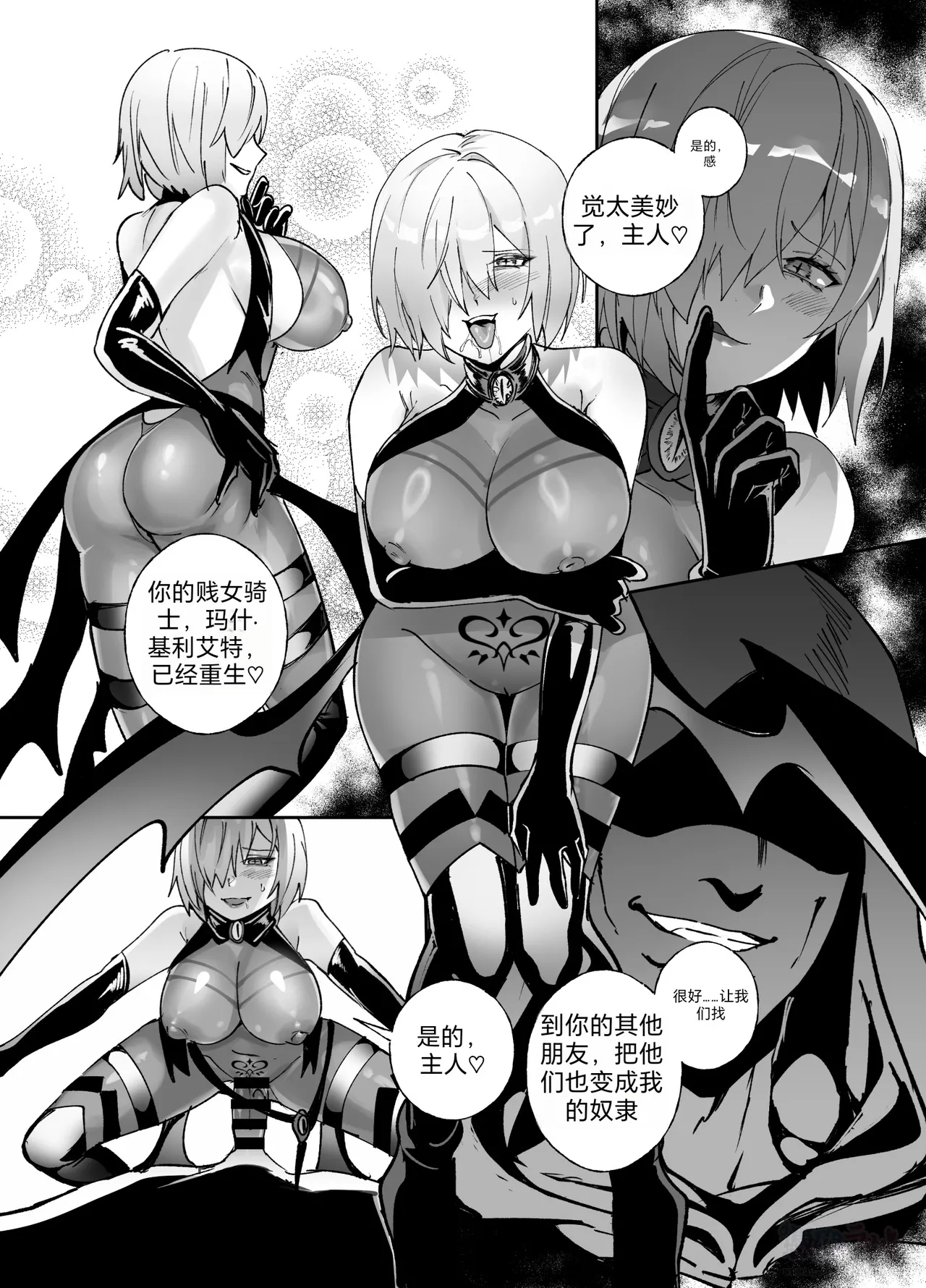 [Hyoui Lover] (Art: Anonymous)FGO Possession[Chinese][机翻] Page 12