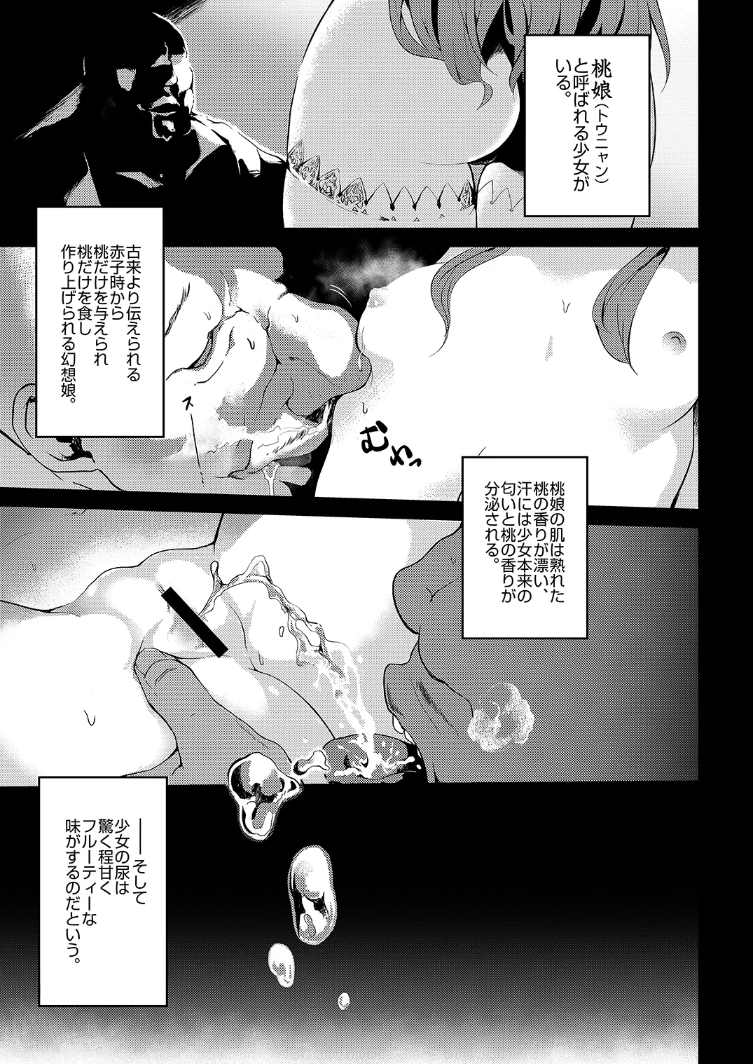 [IRIOMOTE (Saryuu)]Thileren Tounyan(Touhou Project) [Digital] Page 2