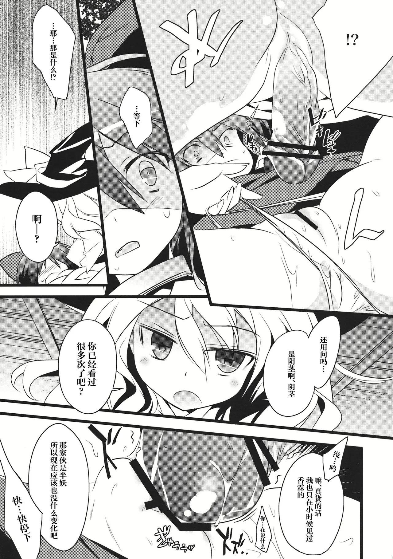 (C84) [Toriaezu(kari) (Tororo)]Kimi ni Hitsuyou na Nanika(Touhou Project) [Chinese] [奶茶鱼怪味糖汉化组] Page 11