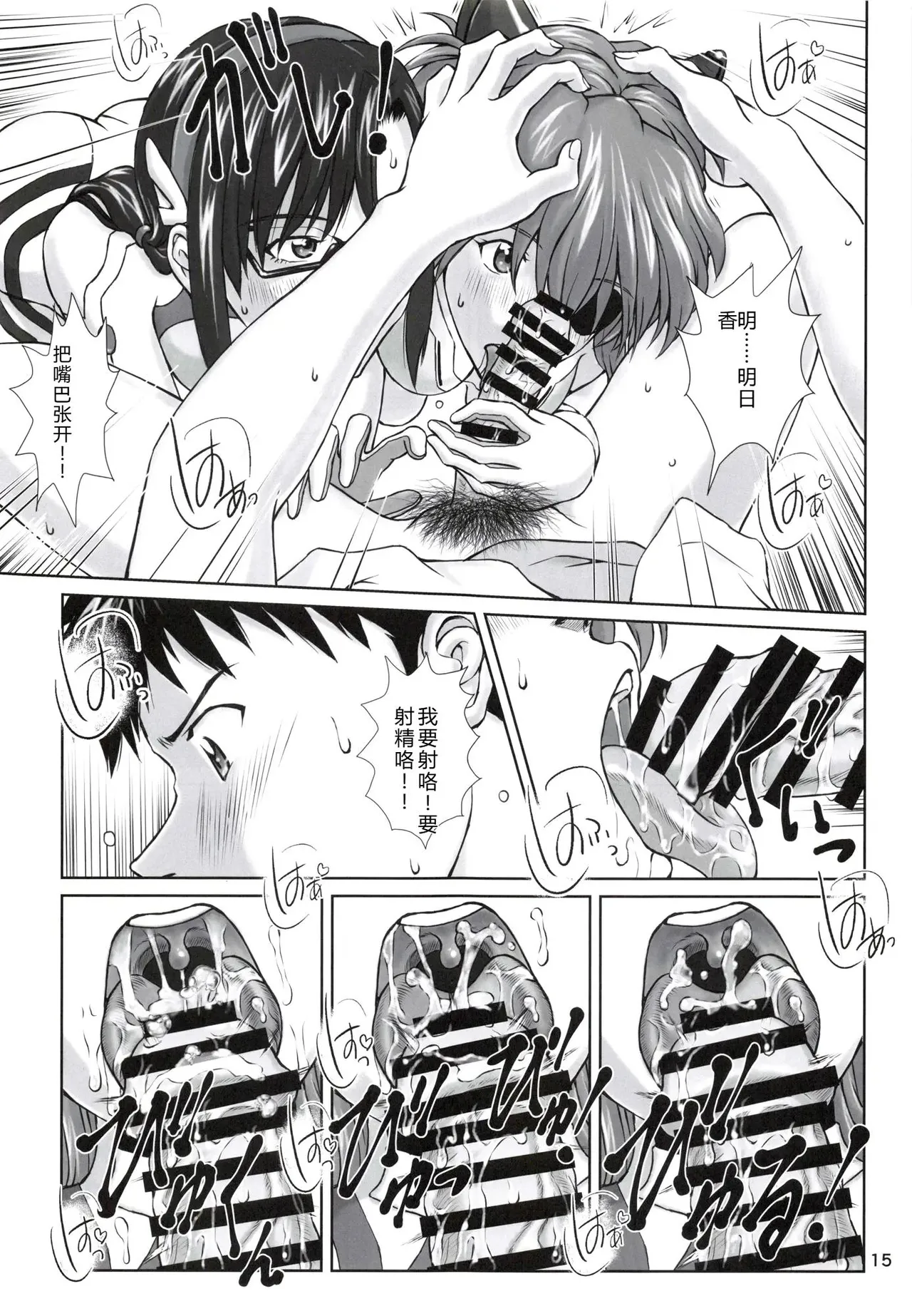 [TENGU NO TSUZURA (Kuro Tengu)]0208(Neon Genesis Evangelion) [Chinese] [叛逆个人汉化] Page 14