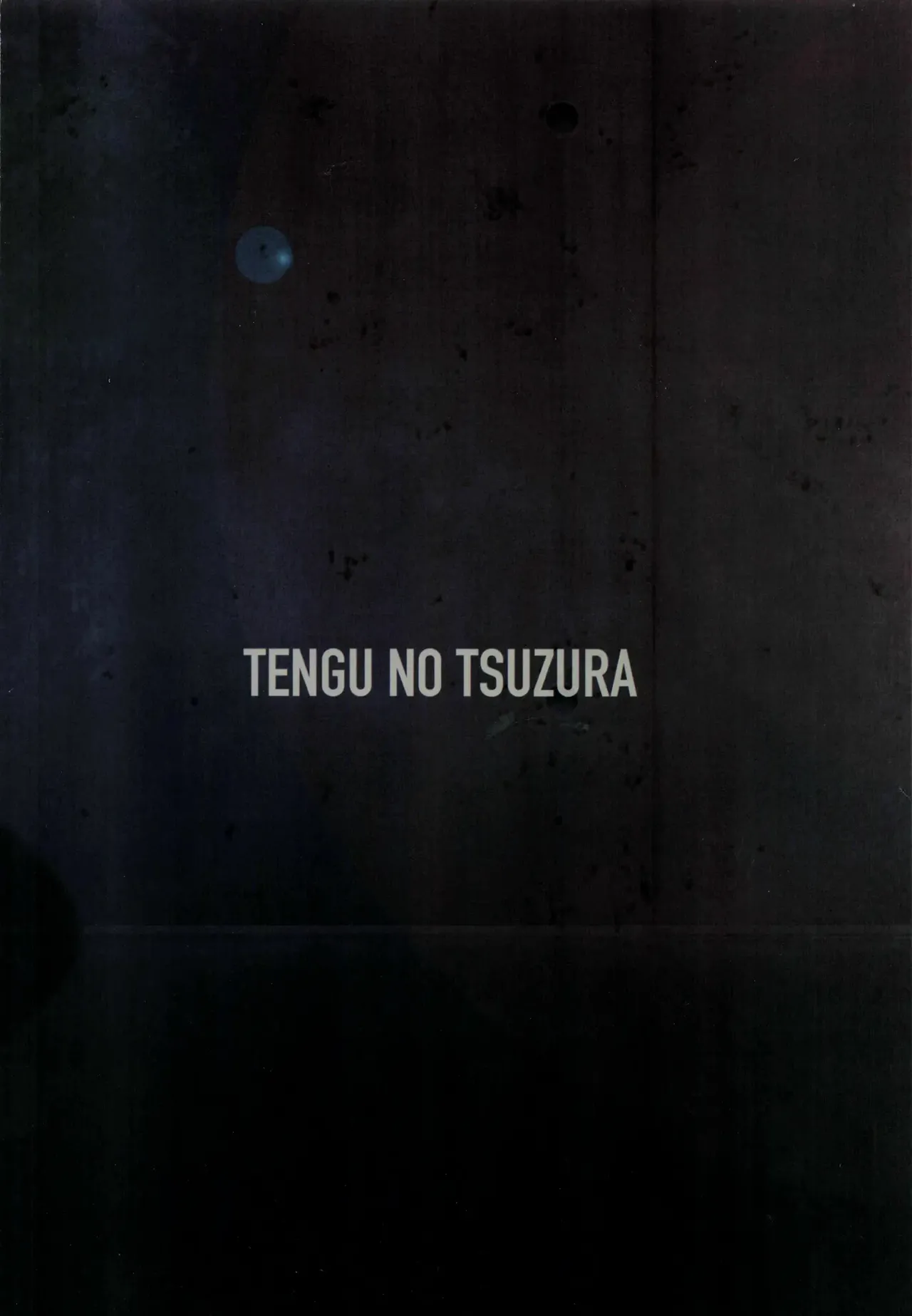 [TENGU NO TSUZURA (Kuro Tengu)]0208(Neon Genesis Evangelion) [Chinese] [叛逆个人汉化] Page 30