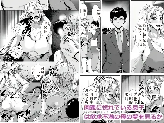 [AKYS Honpo]Nikushin ni Horeteiru Musuko wa Yokkyuu Fuman no Haha no Yume o Miru ka[Chinese] [sakura机翻] Page 1