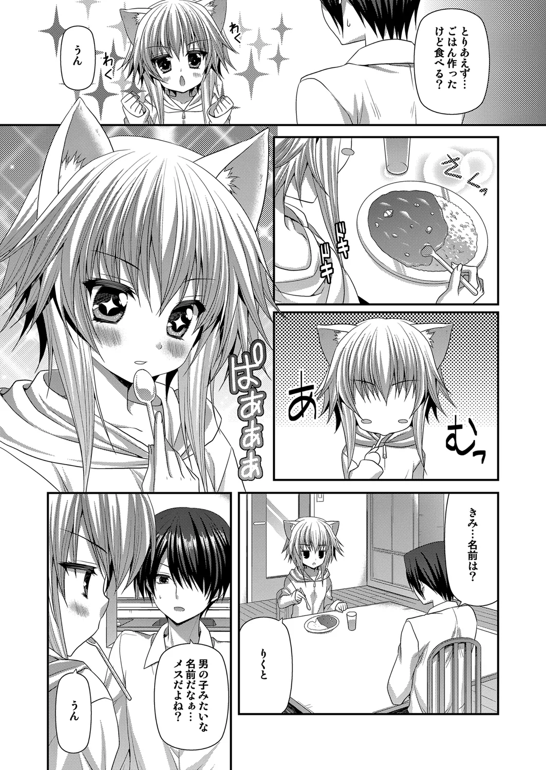 [ALMISM (Minatsuki Alumi)]Bitter na Coffee to Sugar na Milk Lonely Cat[Digital] Page 4