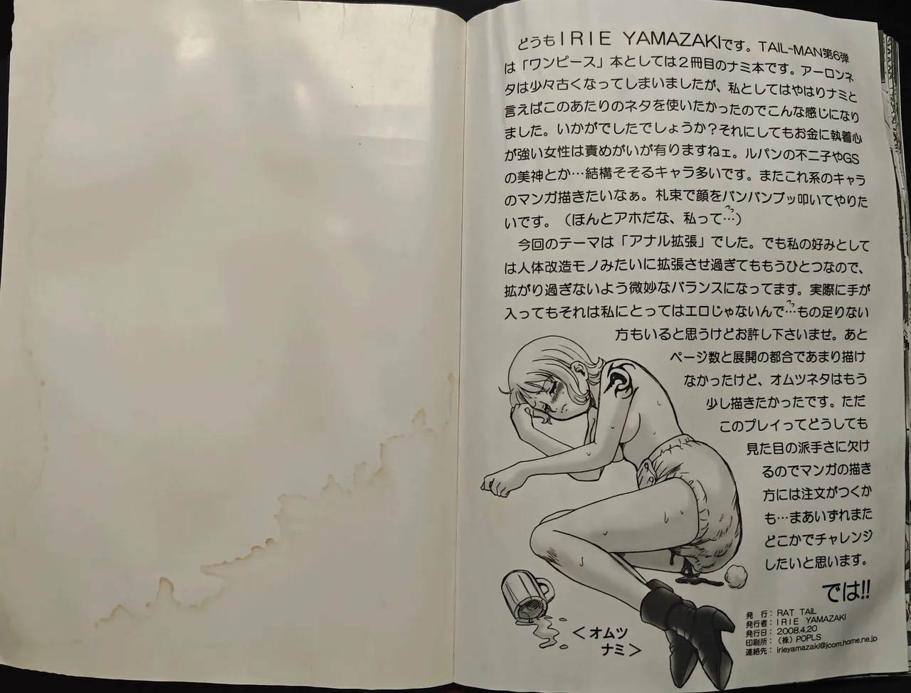 [RAT TAIL (IRIE YAMAZAKI)]TAIL-MAN NAMI BOOK(One Piece) Page 22