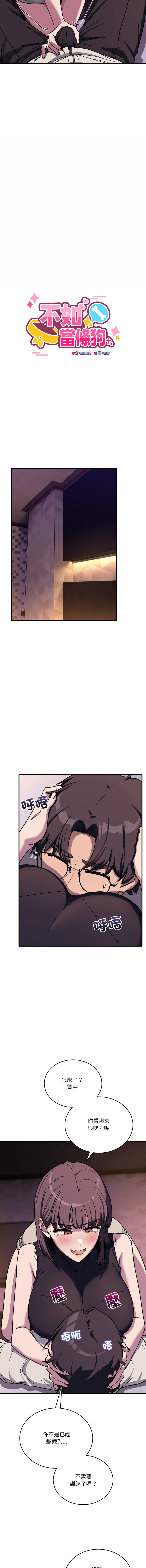 [Hollyeung & CORE]不如当条狗 | 不如當條狗 1-45 END[Chinese] Page 588