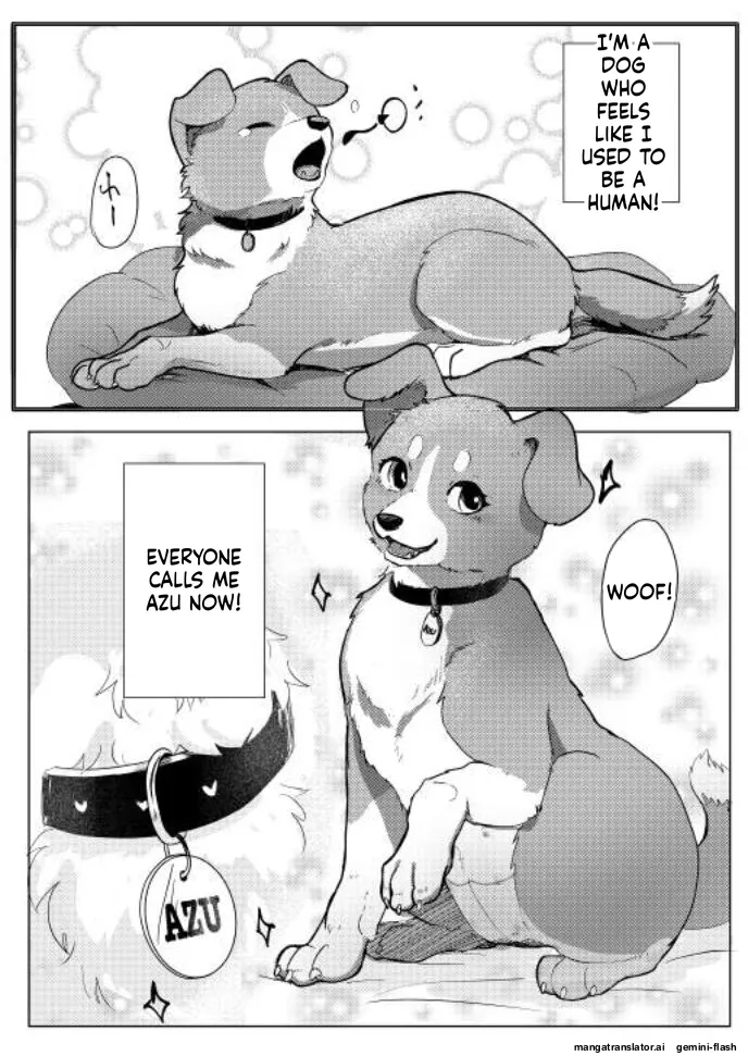 [Kon Juuichibai (Momou)]Wonderful! 1[English] [Decensored] [Digital] Page 2