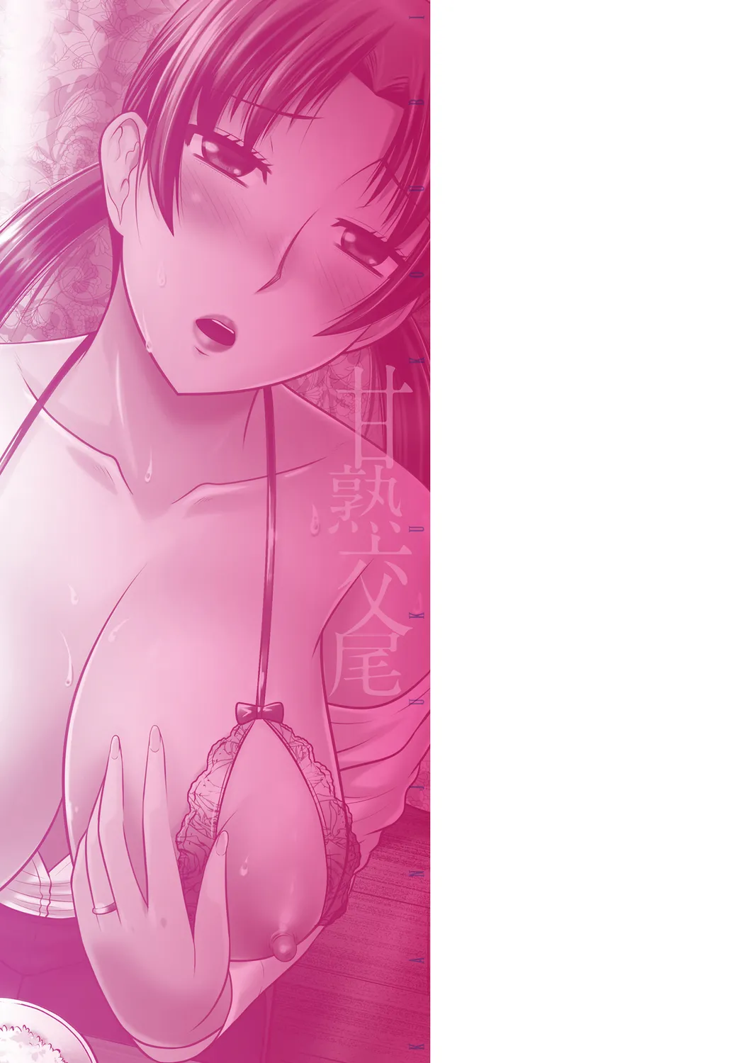 [Hatakeyama Tohya]Kanjuku Koubi[Digital] Page 217
