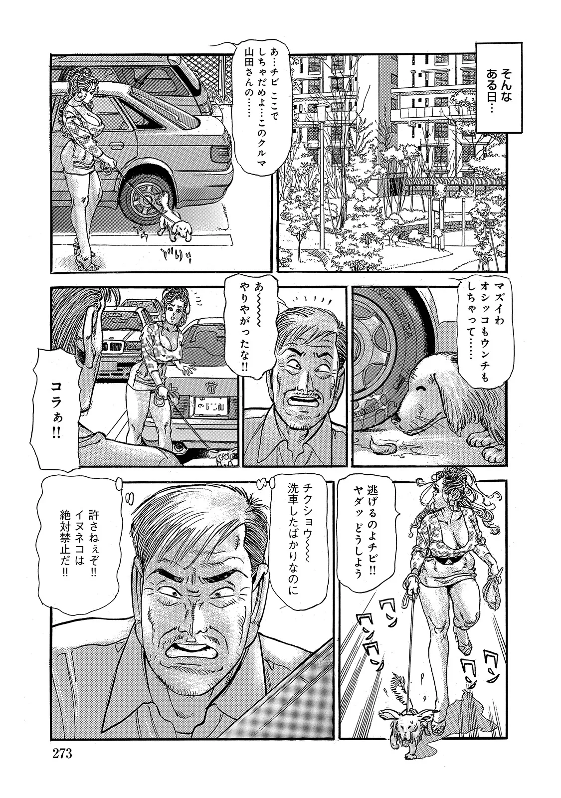 [Anthology]Shirouto Bijinzuma ~Anata o Tengoku ni Michibiku Binyuu to Bijiri~[Digital] Page 272