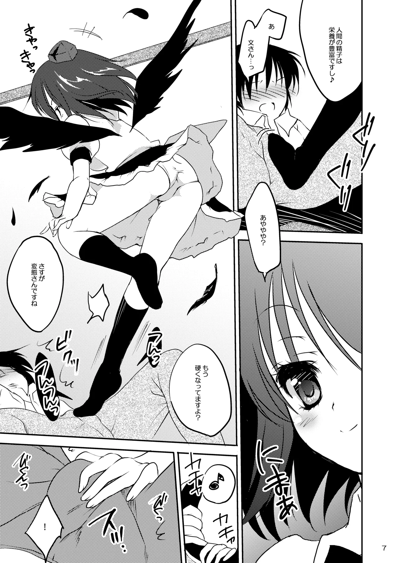 [Bicolor (Kuroshiro Neko)]Ayakano(Touhou Project) [Digital] Page 6