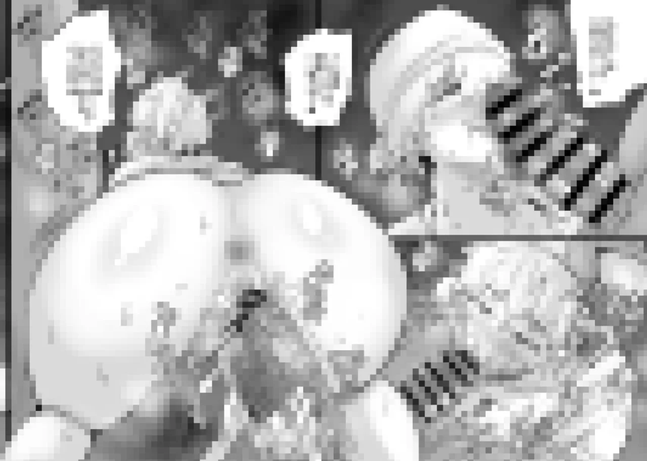 [Aonatsusu]SEX Shite Nasasou na Hito hodo Egui Sex Shiteru Setsu Page 250