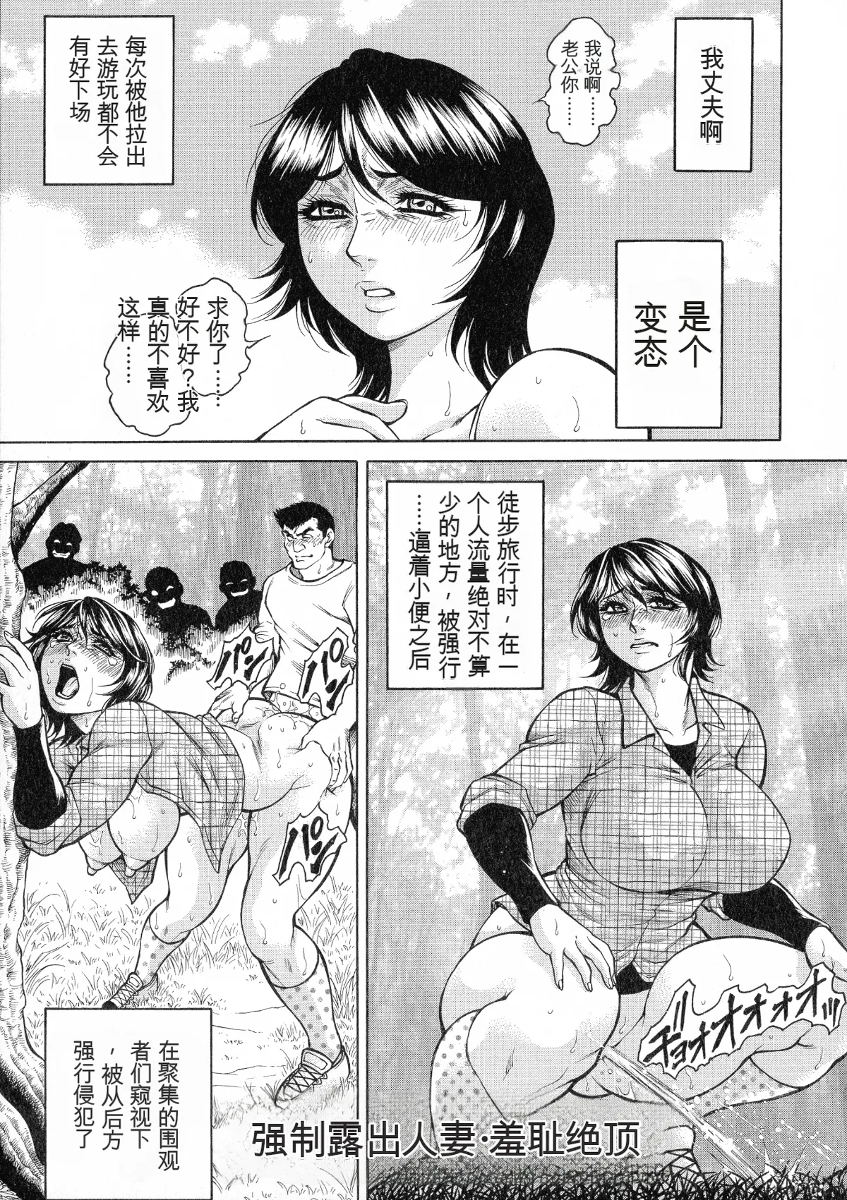 [Hino Toshiyuki]Anal Tsuma Kouetsu Inkan[Chinese] Page 177