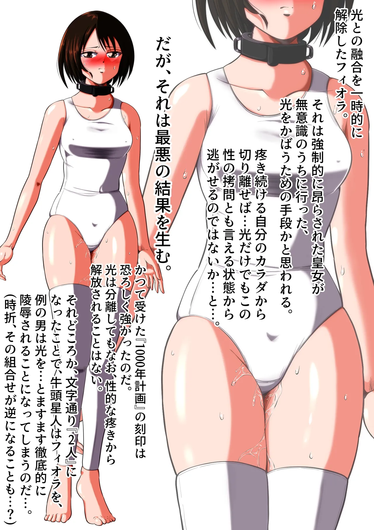 [shade no Urahime (shade)]Gyutouseijin no kyouhu ~Fiora Crisis Gaiden 3~ Page 41