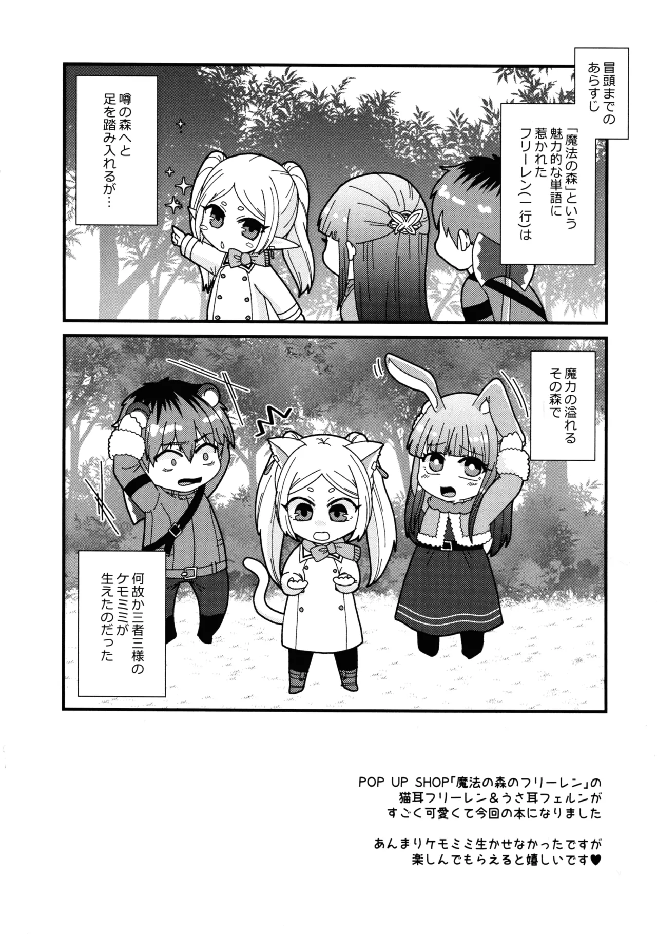 (C107) [AYAMEYA (Iori Ayaka)]Mahou no Mori no Usako to Nyanko(Sousou no Frieren) Page 3