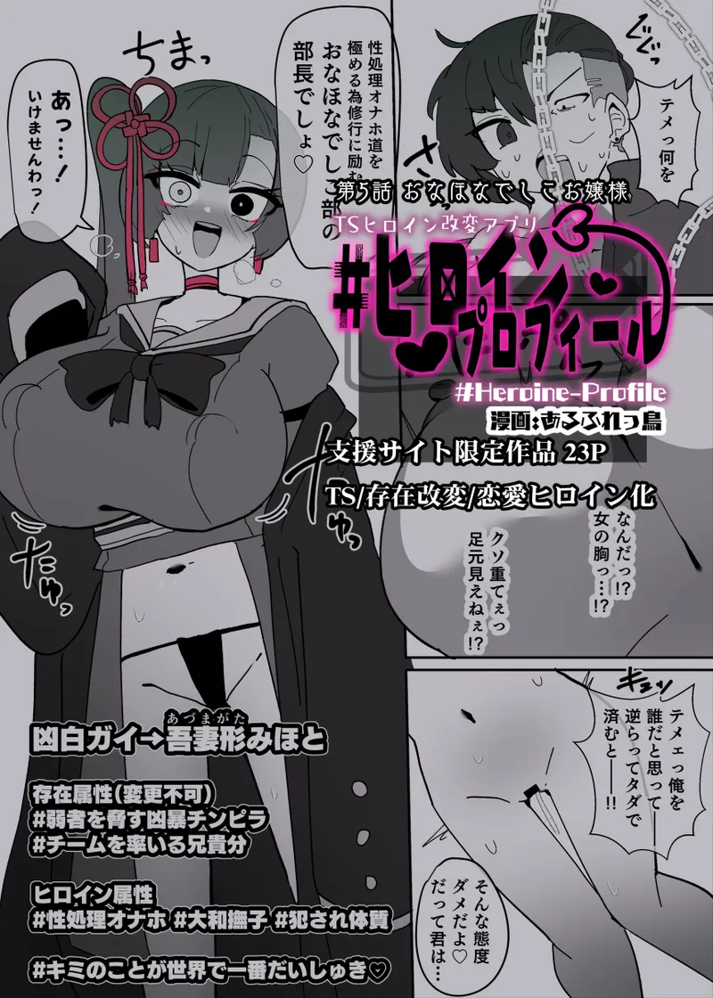 [Alfre-Tori]Heroine Profile⑤[Chinese] Page 1