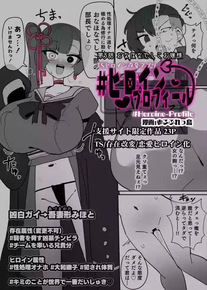 [Alfre-Tori]Heroine Profile⑤[Chinese]