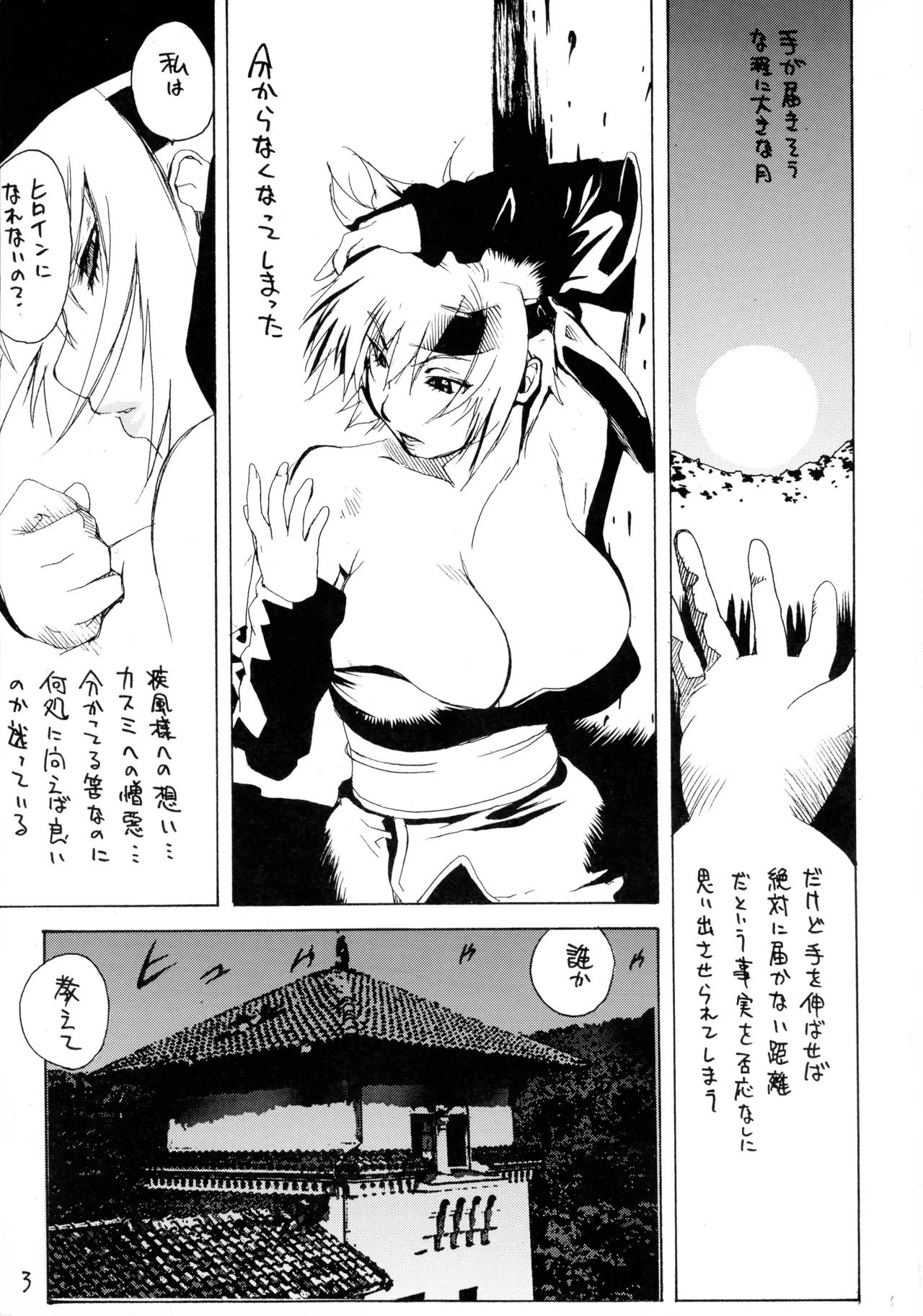 [Hatahata Factory (Kotoyoshi Yumisuke)]XXX IV(Dead or Alive) Page 3
