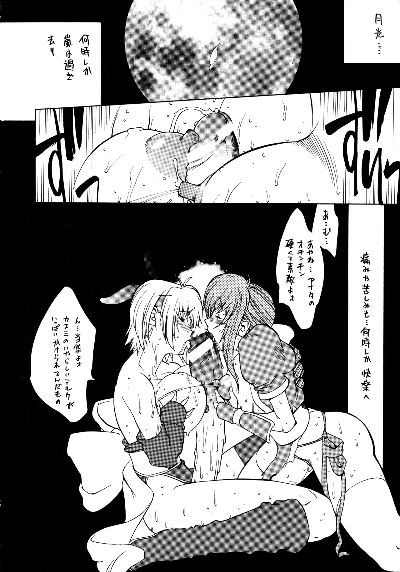 [Hatahata Factory (Kotoyoshi Yumisuke)]XXX II(Dead or Alive) Page 23