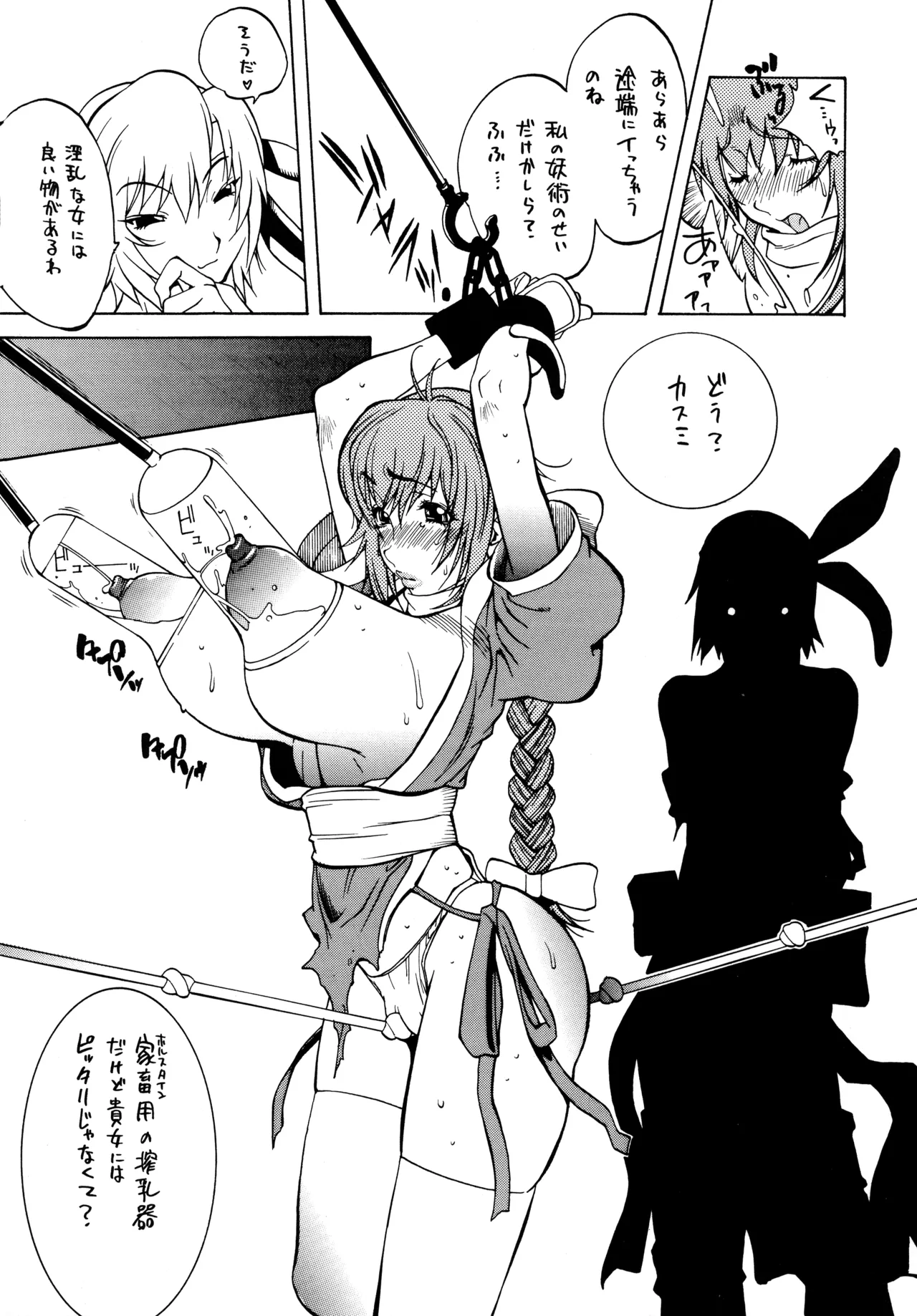 [Hatahata Factory (Kotoyoshi Yumisuke)]XXX II(Dead or Alive) Page 9