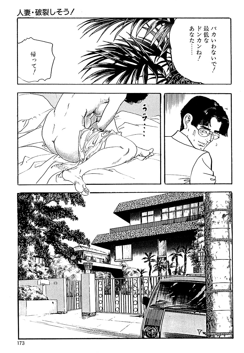 [ケン月影]ケン月影の 熟妻お尻を抱えられて（愛蔵版）[DL] Page 171