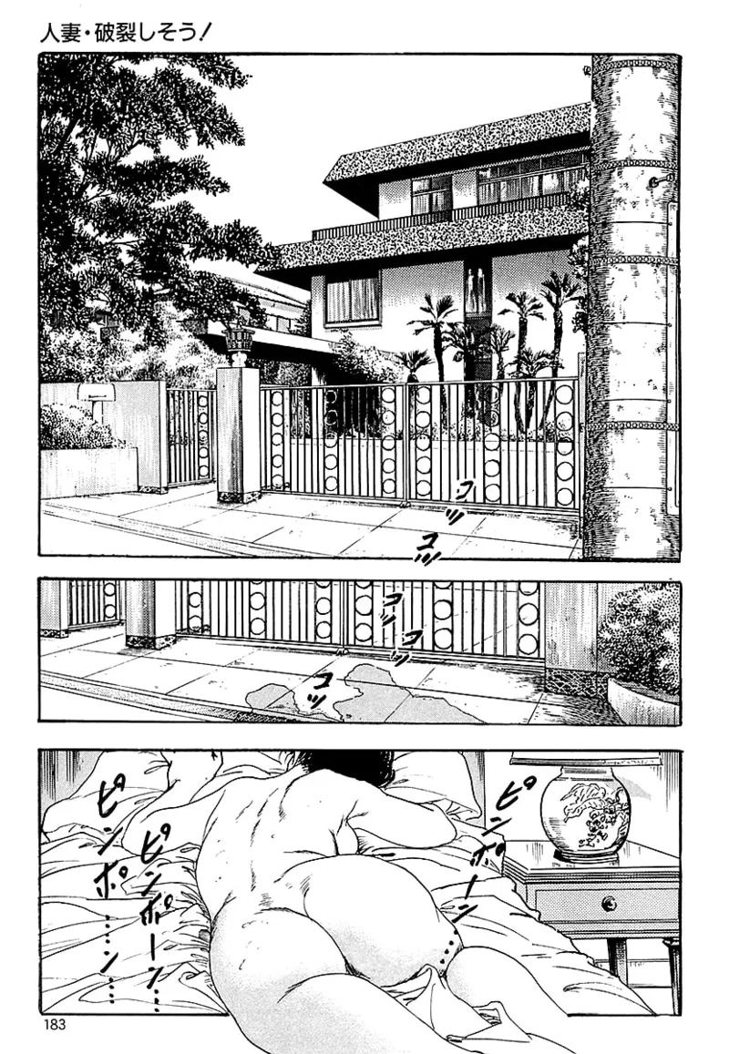 [ケン月影]ケン月影の 熟妻お尻を抱えられて（愛蔵版）[DL] Page 181