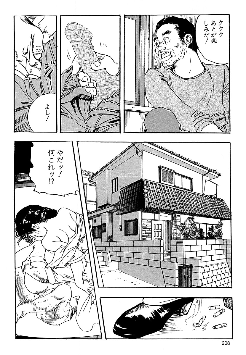 [ケン月影]ケン月影の 熟妻お尻を抱えられて（愛蔵版）[DL] Page 206