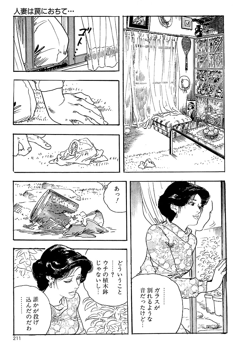[ケン月影]ケン月影の 熟妻お尻を抱えられて（愛蔵版）[DL] Page 209