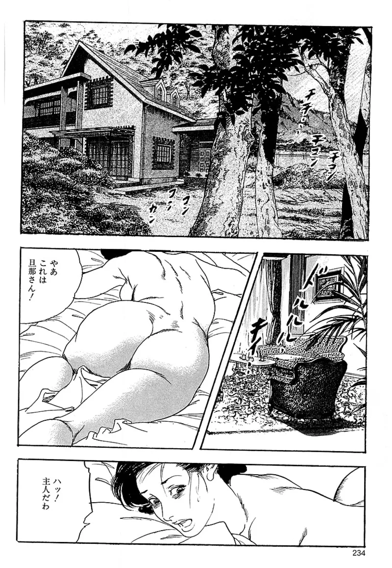 [ケン月影]ケン月影の 熟妻お尻を抱えられて（愛蔵版）[DL] Page 232