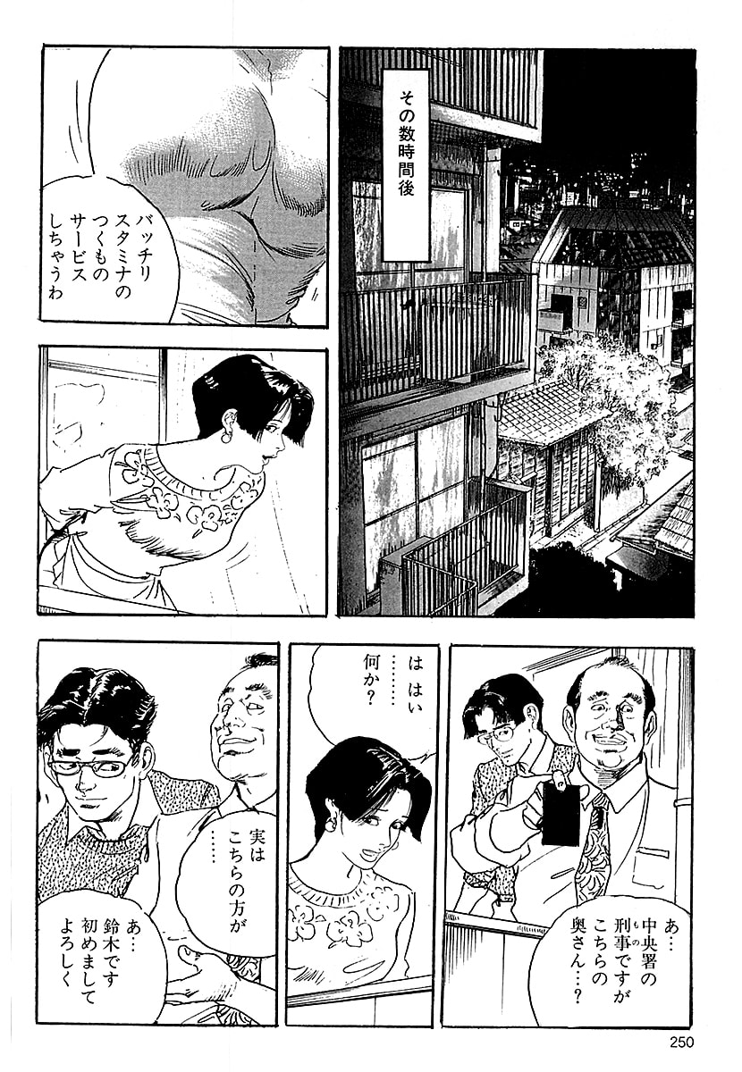 [ケン月影]ケン月影の 熟妻お尻を抱えられて（愛蔵版）[DL] Page 248