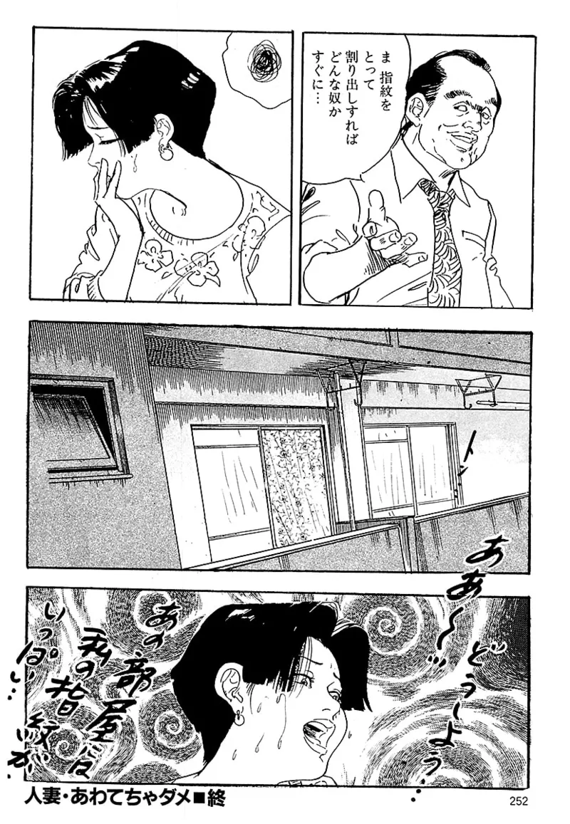 [ケン月影]ケン月影の 熟妻お尻を抱えられて（愛蔵版）[DL] Page 250