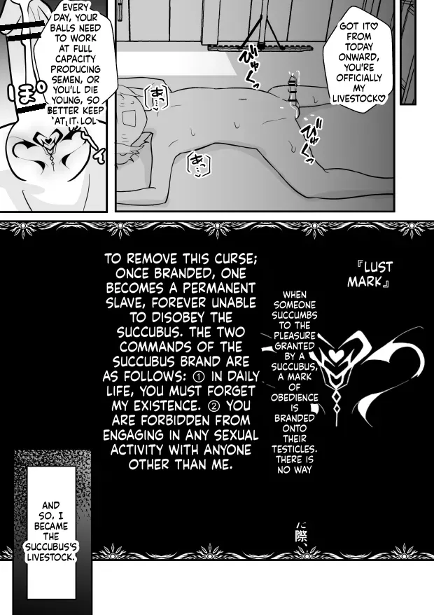 [Permission (Zandoro)]Lamp no Succubus ni Shiborareru[English] [SCANMTL] Page 11