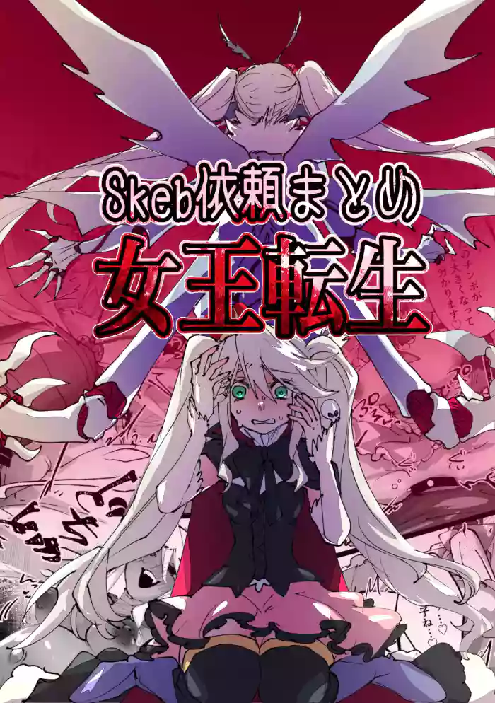 [minoji]jootensei~Skeb iraimatome~[Chinese]