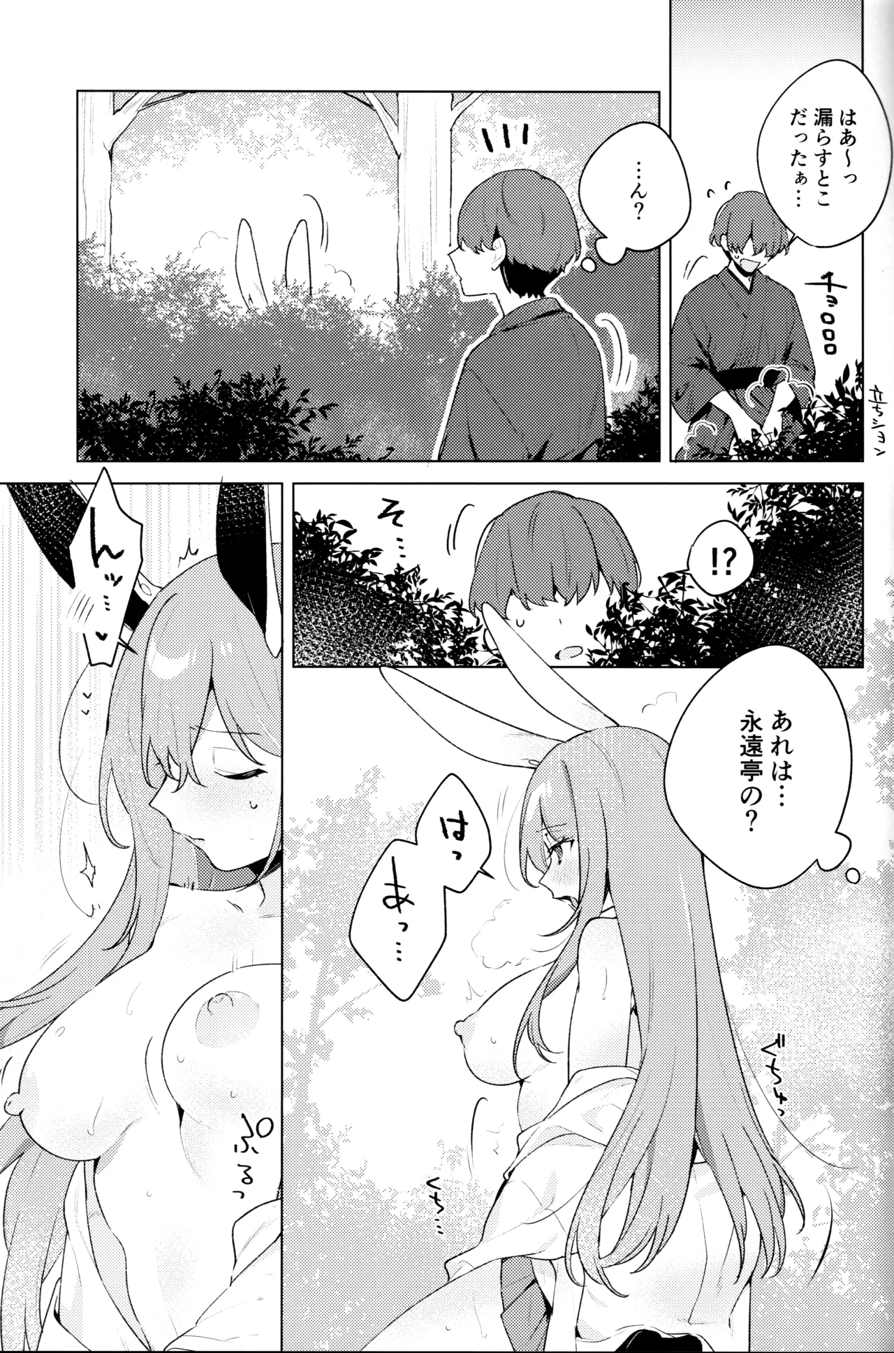 (Reitaisai 20) [Uro no Hukurou. (Akagashi, Toujou, Sape)]Hatsujou Usagi wa Nani Mite Haneru?(Touhou Project) Page 4