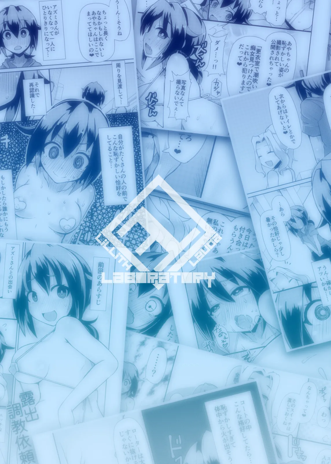 [Lilith Lauda Laboratory (Lilithlauda)]Roshutsu Choukyou Irai 4 | 露出調教依頼4[Chinese] [倫倫倫个人汉化] [Digital] Page 27