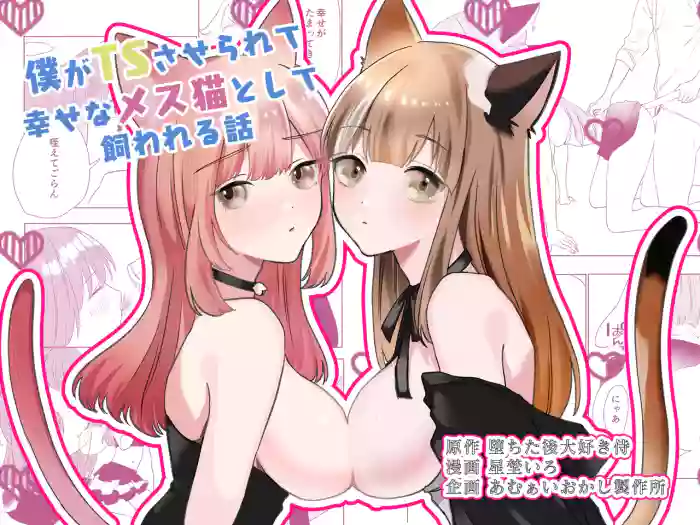 [Amulai Okashi Seisakusho (Hoshino Iro)]Boku ga TS Saserarete, Shiawasena Mesu Neko Toshite Kawareru Hanashi