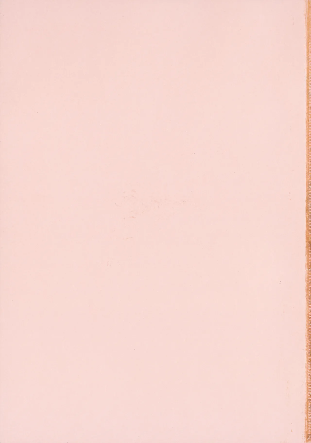 [Alp]Amoral Island Jou + Melonbooks 8PLeaflet + ClearFile Page 5
