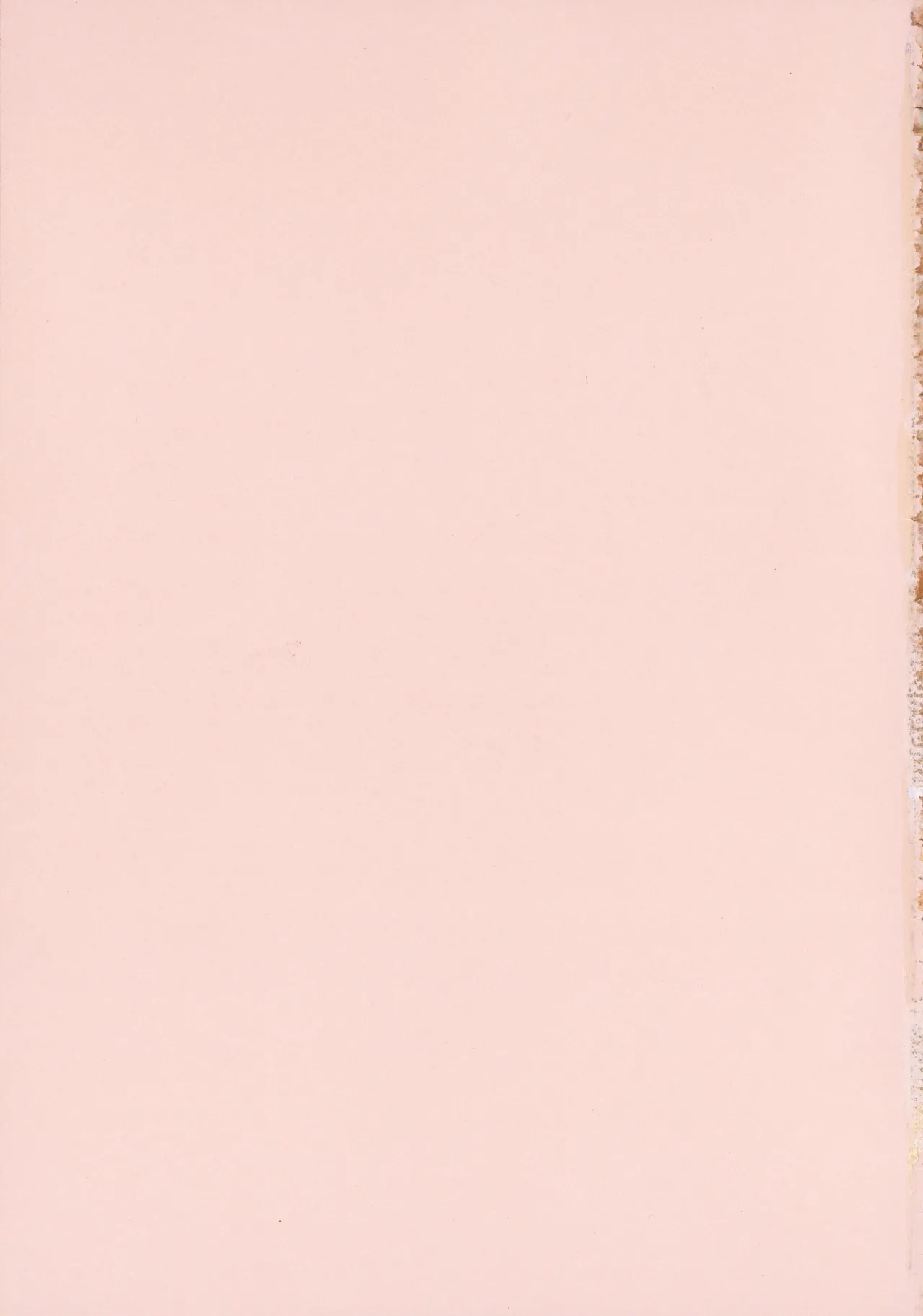 [Alp]Amoral Island Jou + Melonbooks 8PLeaflet + ClearFile Page 6