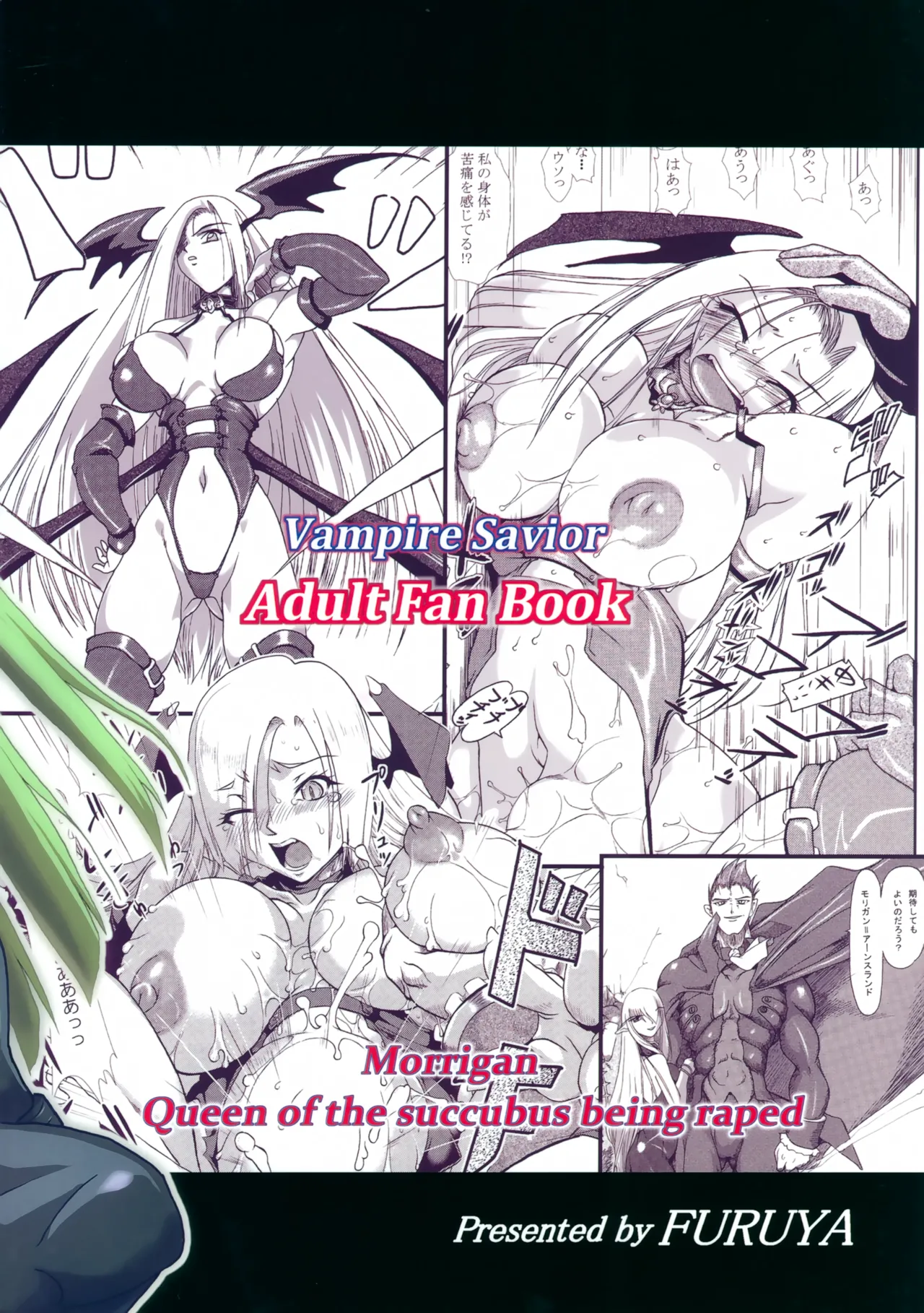 (C105) [Furuya (TAKE)]RECYCLE BOX Inma Ryoujoku-hen(Darkstalkers) Page 30