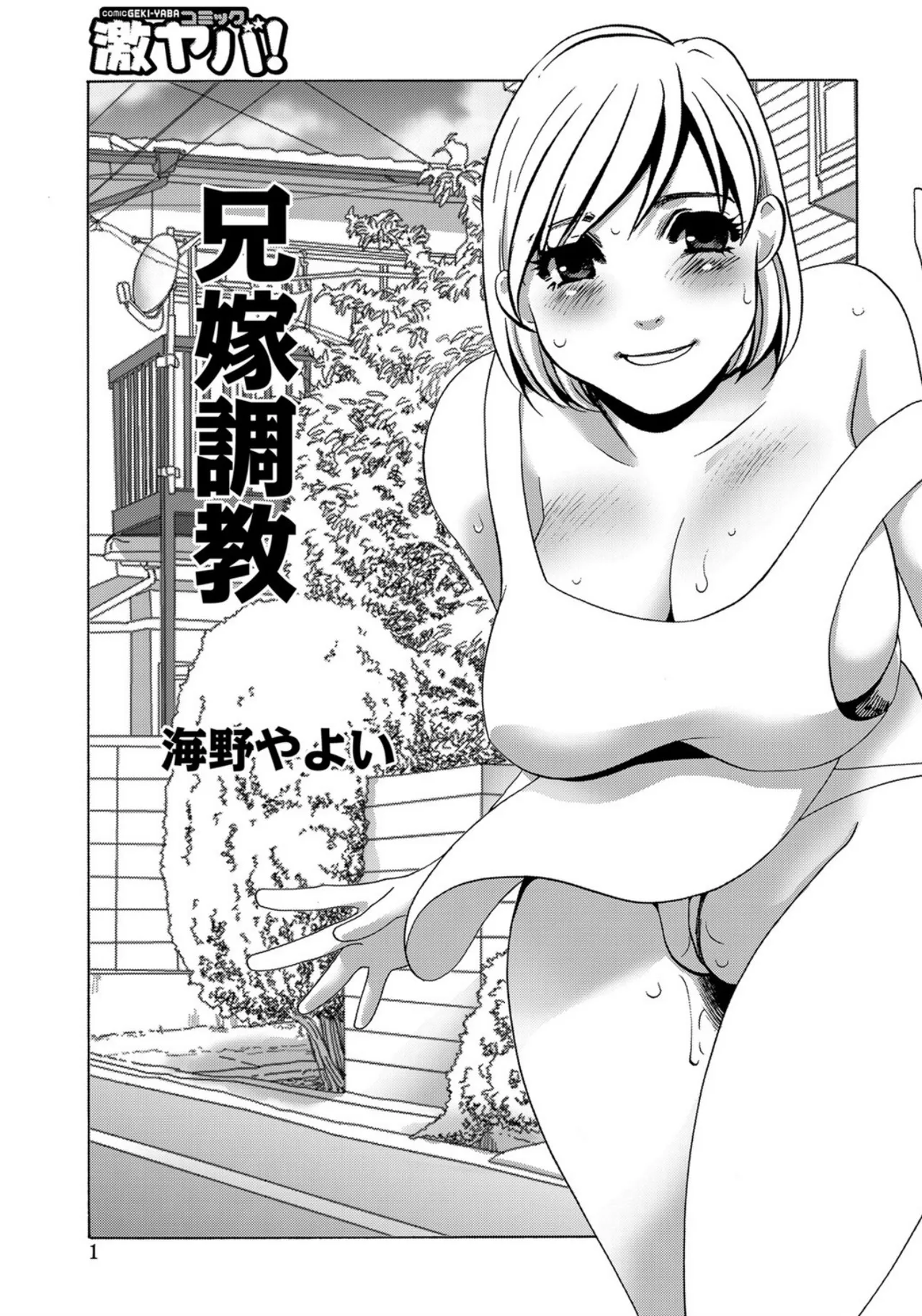 [Umino Yayoi]Aniyome Choukyou[Digital] Page 1