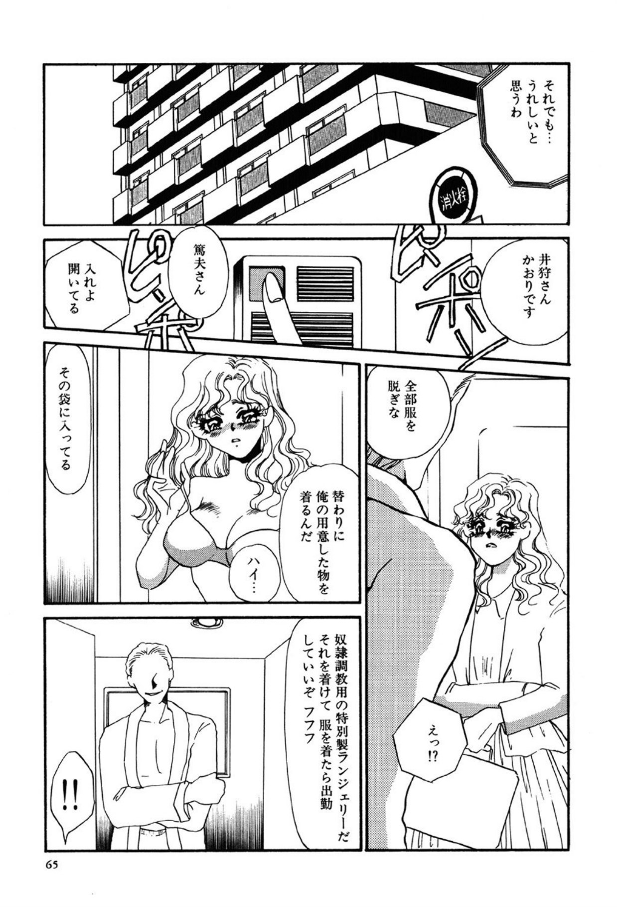 [Umino Yayoi]Yami no Kenzoku[Digital] Page 65