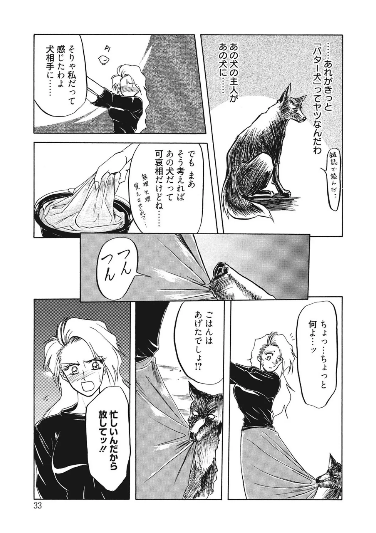 [Sanbun Kyoden]Kindan no Houteishiki[Digital] Page 33