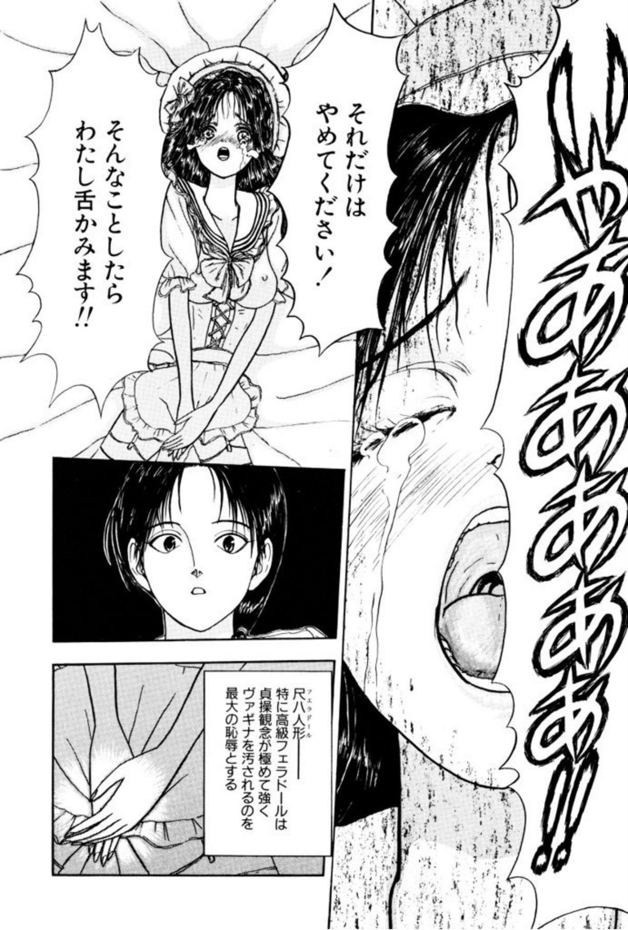 [Mukade Melibe]Burgess no Otome Tachi Wiwaxia no Syou[Digital] Page 18