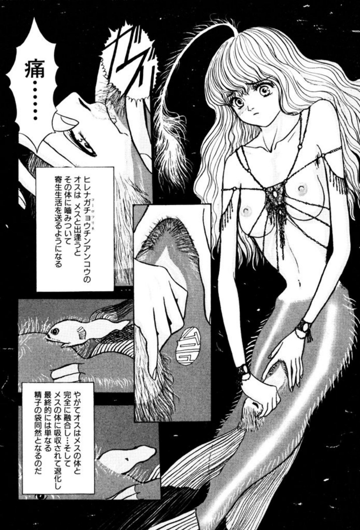 [Mukade Melibe]Burgess no Otome Tachi Dinomischus no Syou[Digital] Page 88