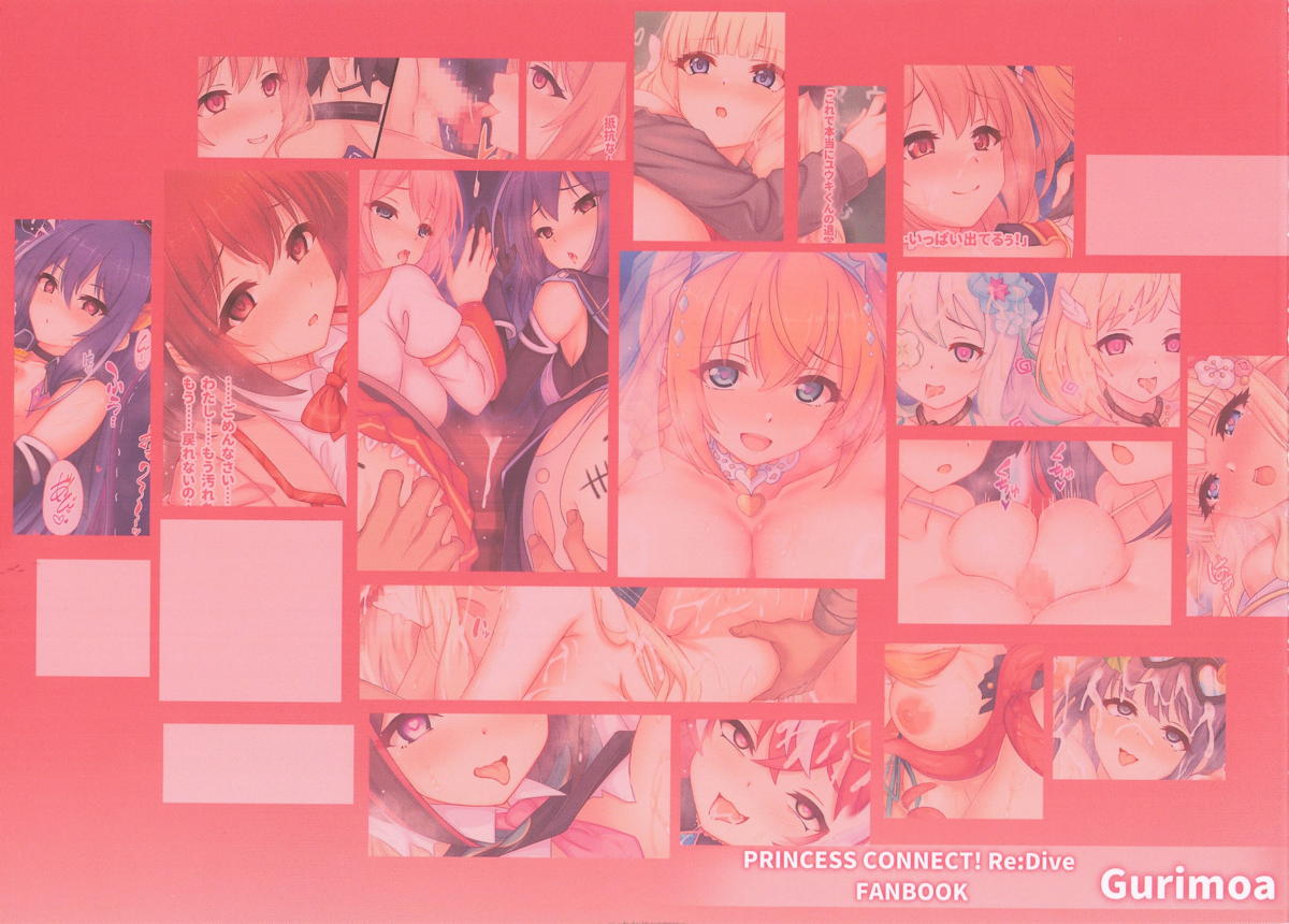 (C107) [Gurimoa (Maca)]PriConne Kimi to no Omoide 5(Princess Connect! Re:Dive) Page 30