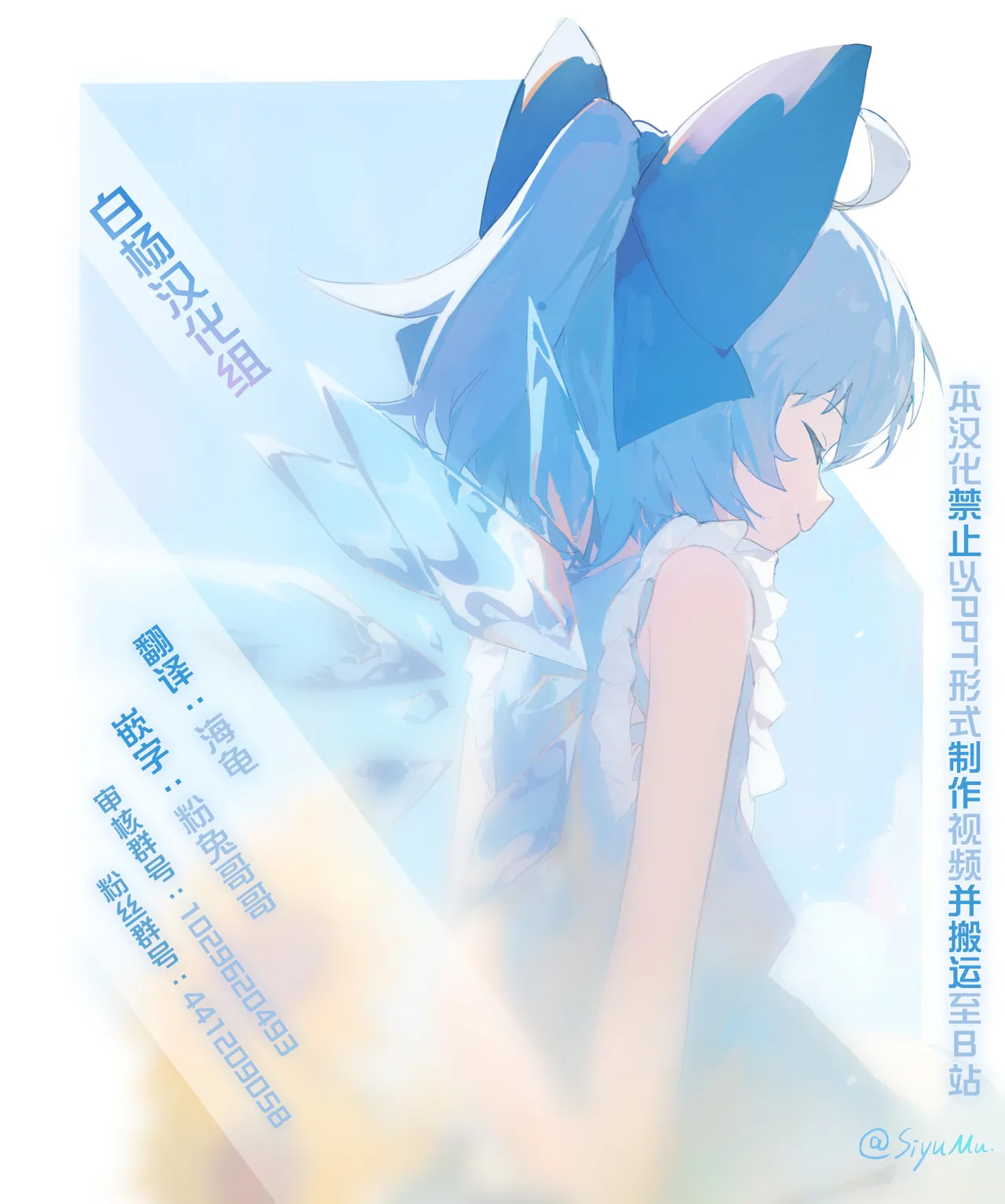 [Yosutebito na Mangakaki (Tomoki Tomonori)]Namahame Sex o Nande Shimai Share Shicha Damenano | 无套性爱为什么不能姐妹一起分享呢！？(Touhou Project) [Chinese] [白杨汉化组] [Digital] Page 45